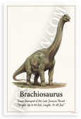 Brachiosaurus Giant Sauropod Late Jurassic Educational 12x18 US Made Poster