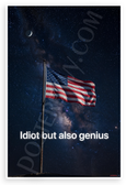 Idiot But Also Genius American Flag Starry Night 12x18 US Made Poster