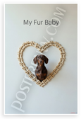 My Fur Baby Dachshund in Dog Bone Heart Minimalist 12x18 US Made Poster