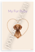 Vizsla Dog My Fur Baby Bone Heart Frame Pets 12x18 US Made Poster