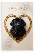 Dog Mom Newfoundland in Dog Bone Heart Frame Elegant 12x18 US Made Poster