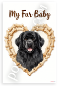 My Fur Baby Newfoundland Dog Bone Heart Frame 12x18 US Made Poster