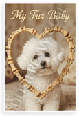 My Fur Baby Bichon Frise Dog Bone Heart Vintage 12x18 US Made Poster