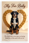 My Fur Baby The Bond with a True Dog Quote Greater Swiss Mountain Dog 12x18 US Made Poster