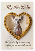 "The Love of a Dog is a Pure Thing" My Fur Baby Chinese Crested Dog 12x18 US Made Poster