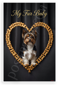 My Fur Baby Biewer Terrier Dog Bone Heart 12x18 US Made Poster