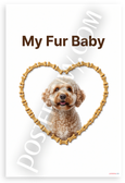 My Fur Baby Lagotto Romagnolo Dog Bone Heart Frame 12x18 US Made Poster