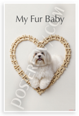 My Fur Baby Coton de Tulear Dog Bone Heart Frame 12x18 US Made Poster