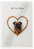My Fur Baby Brussels Griffon Dog Bone Heart 12x18 US Made Poster