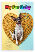 My Fur Baby Rat Terrier Dog Bone Heart Playful 12x18 US Made Poster