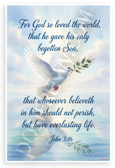 John 3:16 'For God So Loved the World' Dove Olive Branch Inspirational 12x18 US Made Poster
