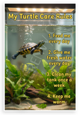 My Turtle Care Rules Educational 12x18 US Made Poster
