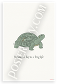 "Patience is Key to a Long Life" Turtle Inspirational 12x18 US Made Poster