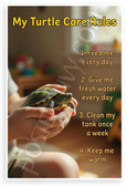 My Turtle Care Rules Child Holding Pet Turtle Educational 12x18 US Made Poster