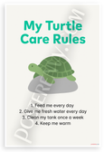 My Turtle Care Rules Feed Every Day Educational 12x18 US Made Poster