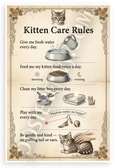 Kitten Care Rules Educational 12x18 US Made Poster