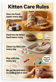 Kitten Care Rules Educational Pet Tips 12x18 US Made Poster