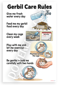 Gerbil Care Rules Educational Cartoon 12x18 US Made Poster