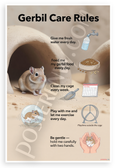 Gerbil Care Rules Educational 12x18 US Made Poster