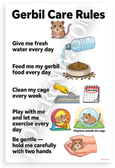 Gerbil Care Rules Educational 12x18 US Made Poster