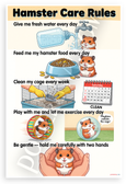 Hamster Care Rules Educational Cartoon 12x18 US Made Poster