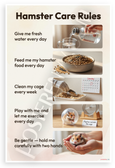 Hamster Care Rules Educational Pet Tips 12x18 US Made Poster