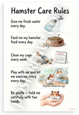 Hamster Care Rules Educational 12x18 US Made Poster