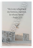 Psalm 91:2 'He is My Refuge and My Fortress' Dove Religious 12x18 US Made Poster