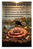Pet Snake Care Rules Educational 12x18 US Made Poster