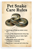 Pet Snake Care Rules Educational 12x18 US Made Poster