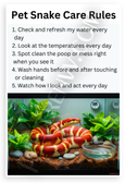 Pet Snake Care Rules Educational 12x18 US Made Poster