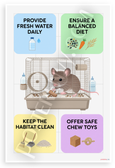 Mouse Pet Care Guide Educational Infographic 12x18 US Made Poster