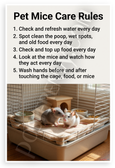 Pet Mice Care Rules Educational 12x18 US Made Poster