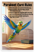 Parakeet Care Rules Educational 12x18 US Made Poster