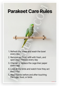Parakeet Care Rules Educational 12x18 US Made Poster