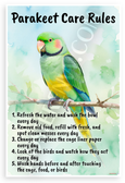 Parakeet Care Rules Educational 12x18 US Made Poster