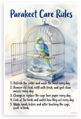Parakeet Care Rules Educational Bird 12x18 US Made Poster