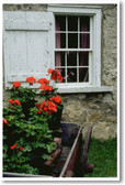 Stone House with Geraniums