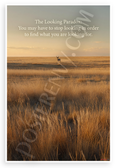 The Looking Paradox You May Have to Stop Looking Quote Inspirational 12x18 US Made Poster