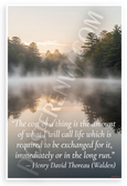 Henry David Thoreau 'Cost of a Thing' Walden Quote Inspirational 12x18 US Made Poster