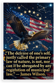 James Wilson 'Defense of One's Self Primary Law of Nature' Patriotic 12x18 US Made Poster