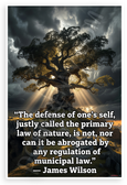James Wilson 'Defense of One's Self Primary Law of Nature' Inspirational 12x18 US Made Poster
