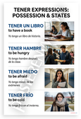 Tener Expressions Possession States Spanish Educational 12x18 US Made Poster