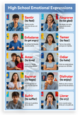 High School Emotional Expressions Spanish Verbs Educational 12x18 US Made Poster