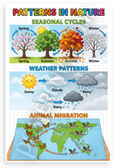 Patterns in Nature Seasonal Cycles Weather Animal Migration Educational 12x18 US Made Poster