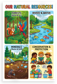 Our Natural Resources Forests Rivers Minerals Conservation Educational 12x18 US Made Poster