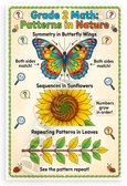 Grade 2 Math Patterns in Nature Butterfly Wings Sunflower Leaves Educational 12x18 US Made Poster