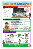How to Write a Science Report Butterfly Life Cycle Educational 12x18 US Made Poster