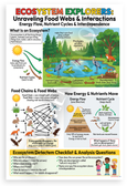 Ecosystem Explorers Food Webs Energy Flow Nutrient Cycles Educational 12x18 US Made Poster