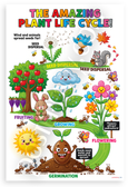 The Amazing Plant Life Cycle Educational 12x18 US Made Poster